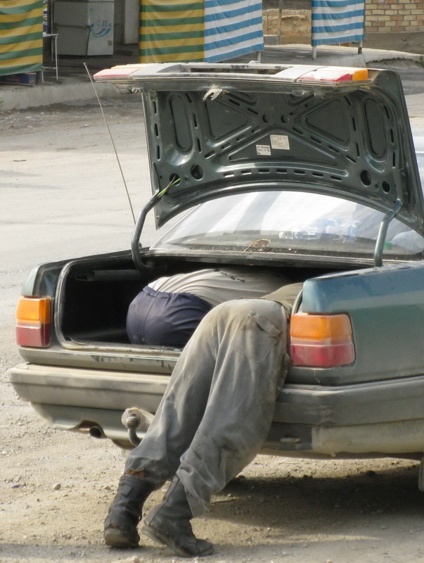 07_karavshin_2009_poltavez